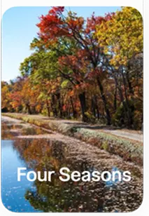 Four seasons